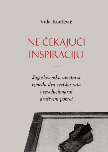 Cover Vida Knezevic book